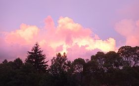 Domek nad Potokiem